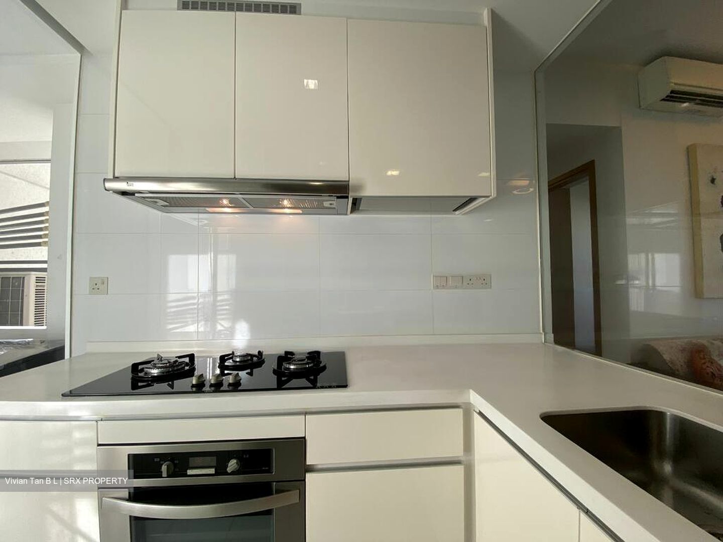 Vista Residences (D12), Condominium #504313551